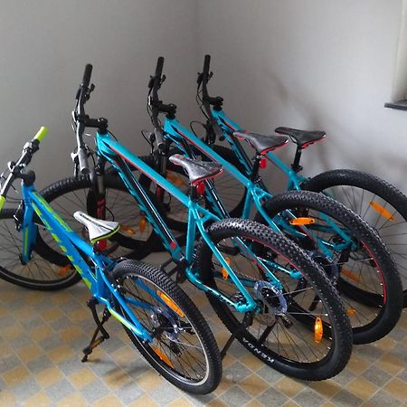 Menzenschwand-Hinterdorf Familien-Sportappartements Wetzel מראה חיצוני תמונה