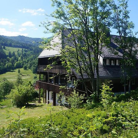Menzenschwand-Hinterdorf Familien-Sportappartements Wetzel מראה חיצוני תמונה