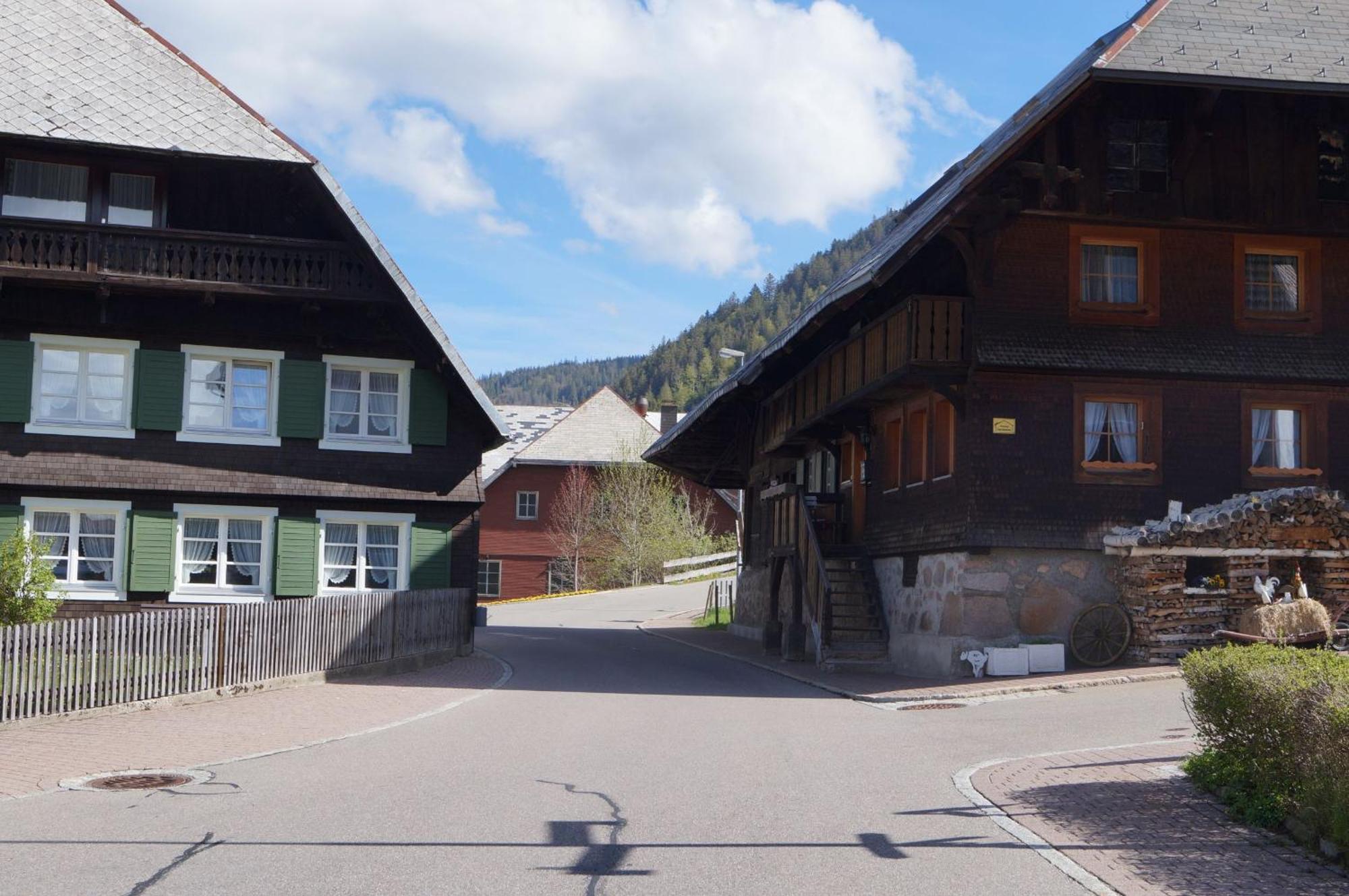 Menzenschwand-Hinterdorf Familien-Sportappartements Wetzel מראה חיצוני תמונה