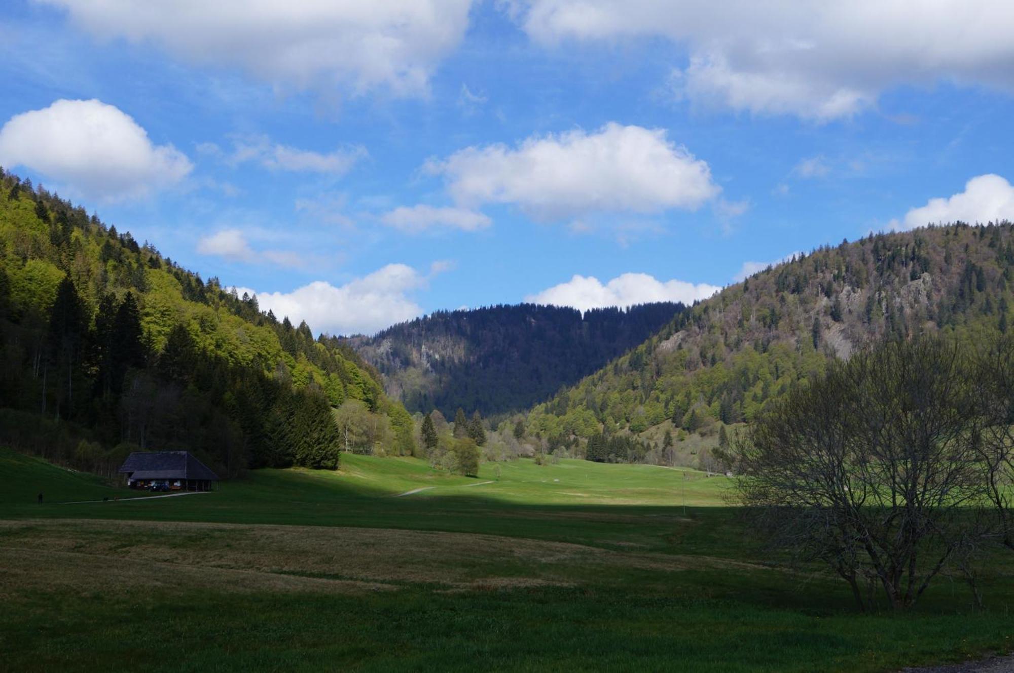 Menzenschwand-Hinterdorf Familien-Sportappartements Wetzel מראה חיצוני תמונה