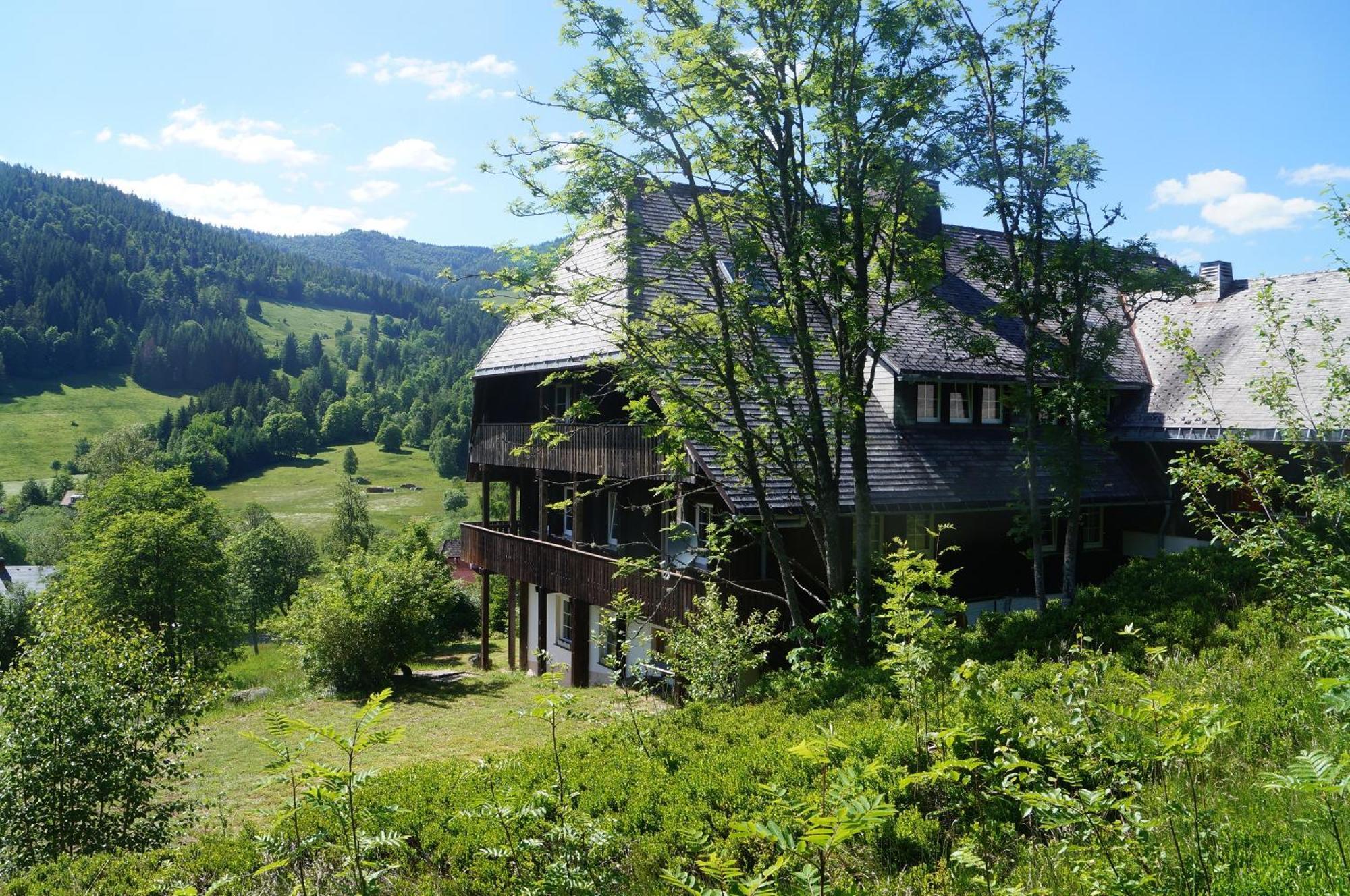 Menzenschwand-Hinterdorf Familien-Sportappartements Wetzel מראה חיצוני תמונה