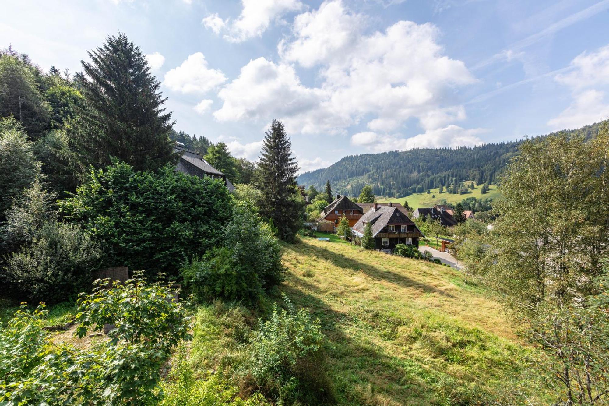 Menzenschwand-Hinterdorf Familien-Sportappartements Wetzel מראה חיצוני תמונה